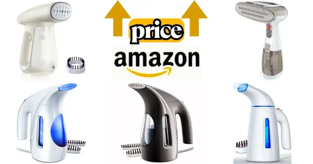 Professional Steamer for Clothes