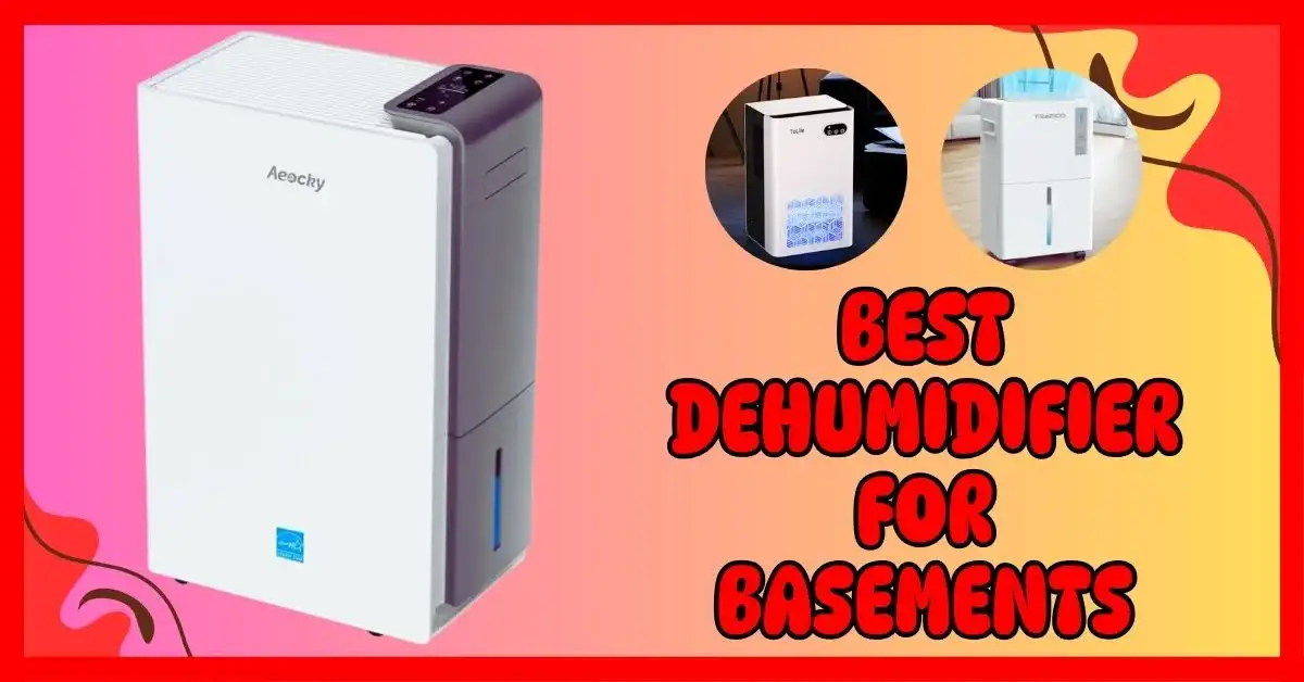 What Is a Good Size Dehumidifier for a Basement