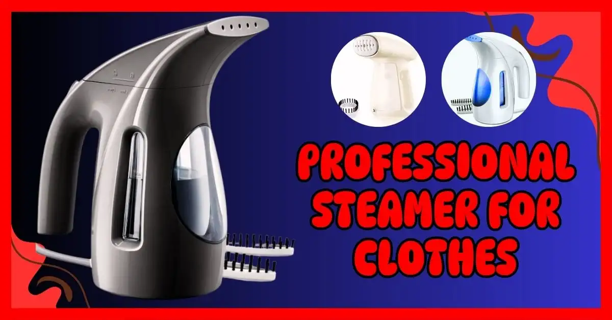 Professional Steamer for Clothes
