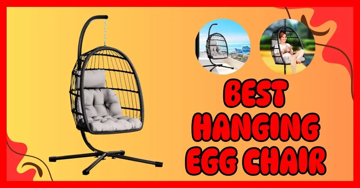 Best Hanging Egg Chair