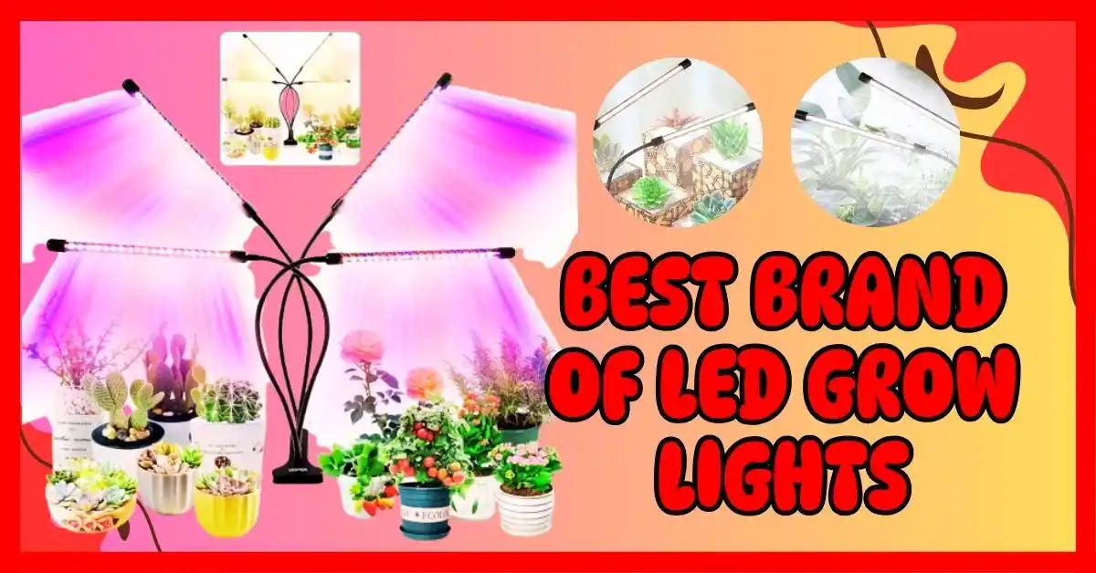 What Is the Best Brand of LED Grow Lights