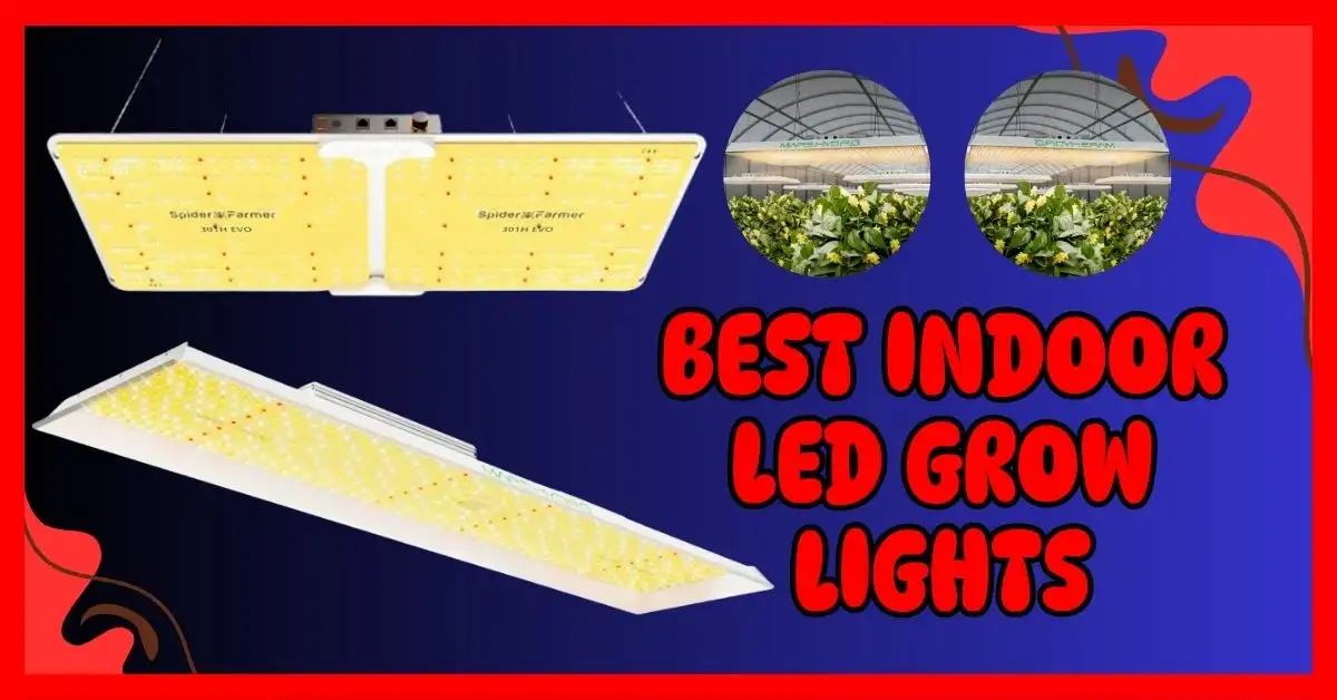 Best Indoor LED Grow Lights