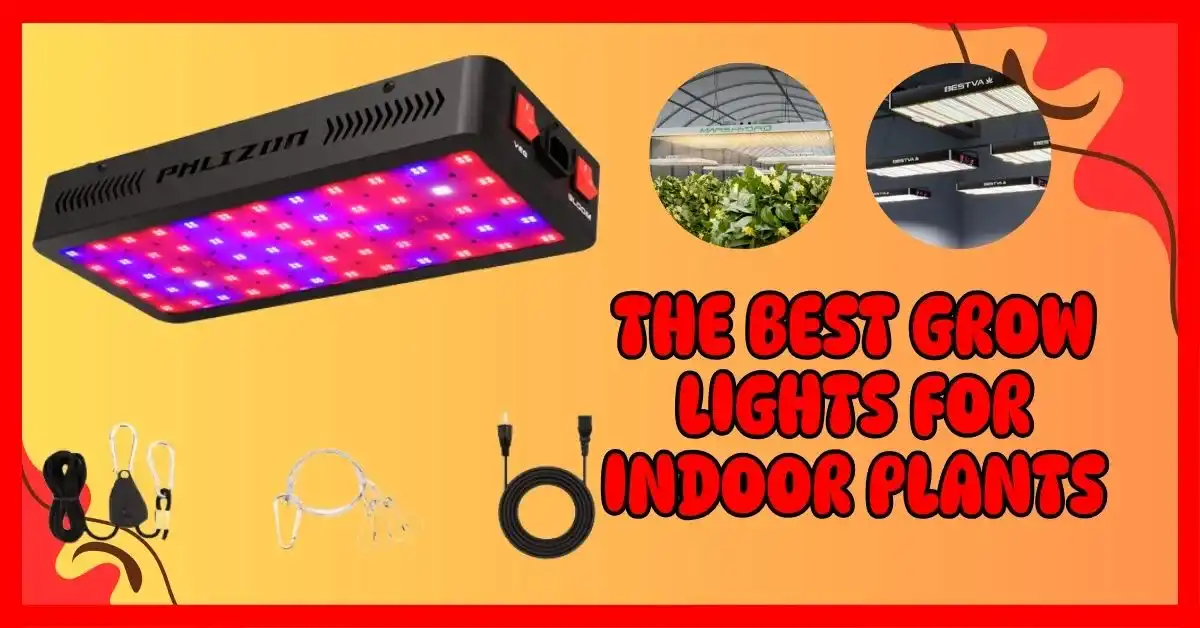 The Best Grow Lights for Indoor Plants