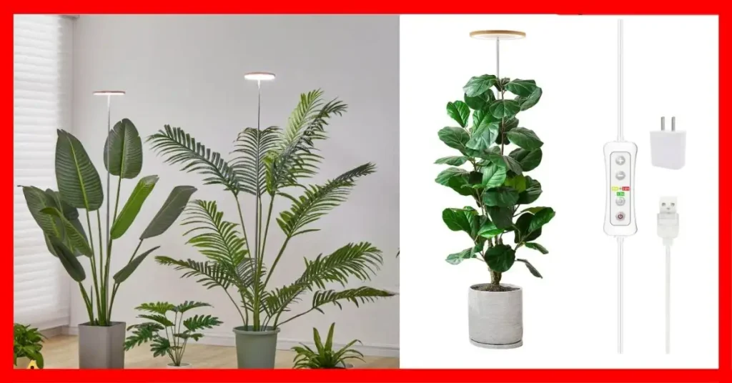 What is The Best Grow Light for Indoor Plants