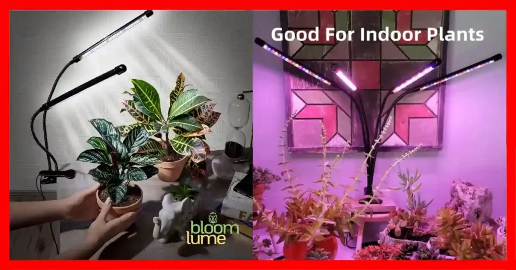 What Is the Best Brand of LED Grow Lights