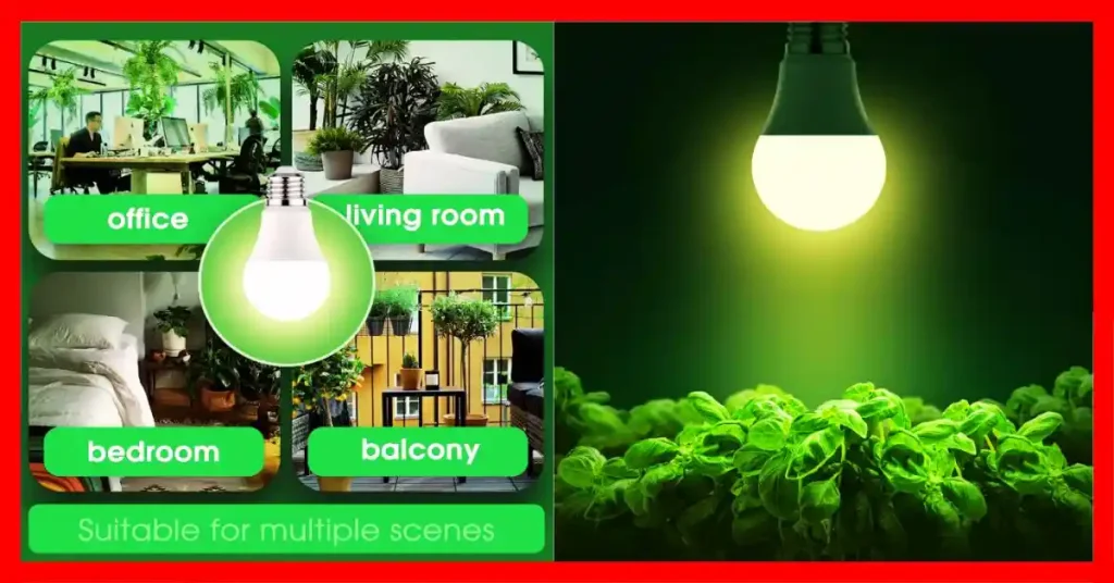 What is The Best Grow Light for Indoor Plants
