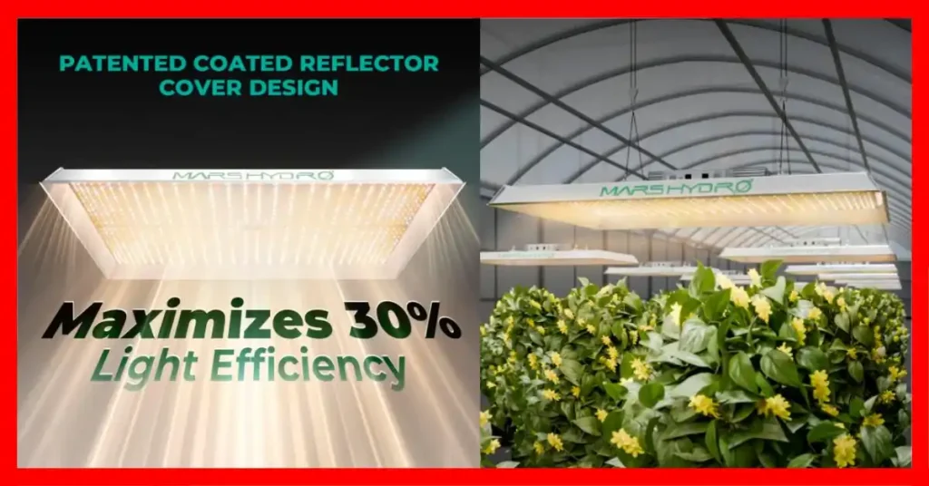 Best Indoor LED Grow Lights