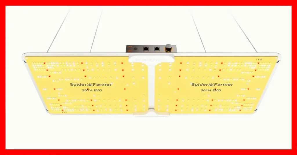 Best Indoor LED Grow Lights