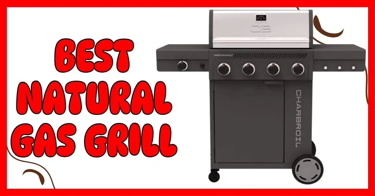 What Is the Best Natural Gas Grill