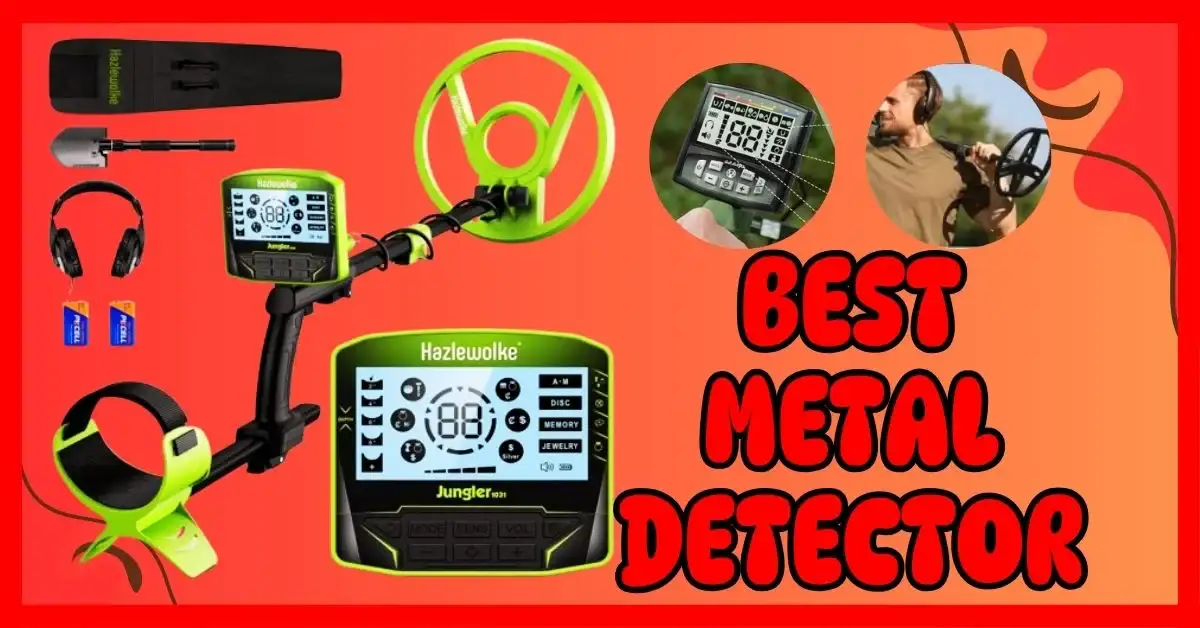 Which Metal Detector Is the Best