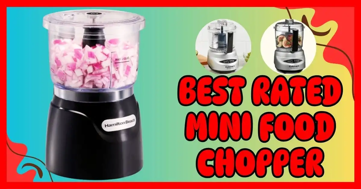 Best Rated Mini Food Chopper