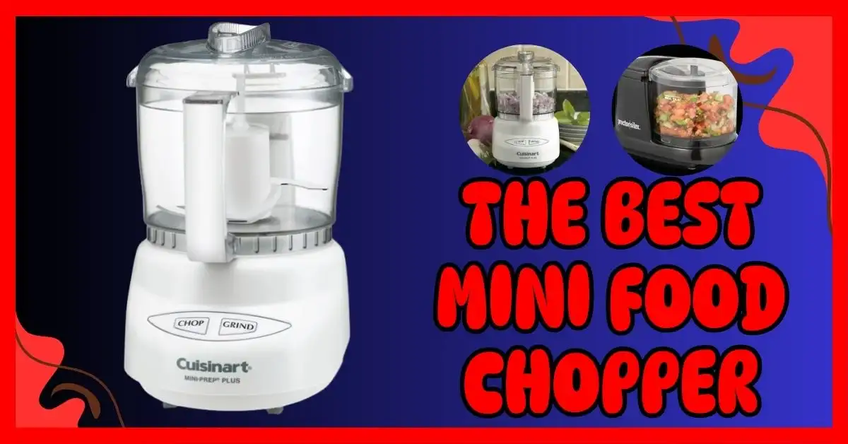 The Best Mini Food Chopper