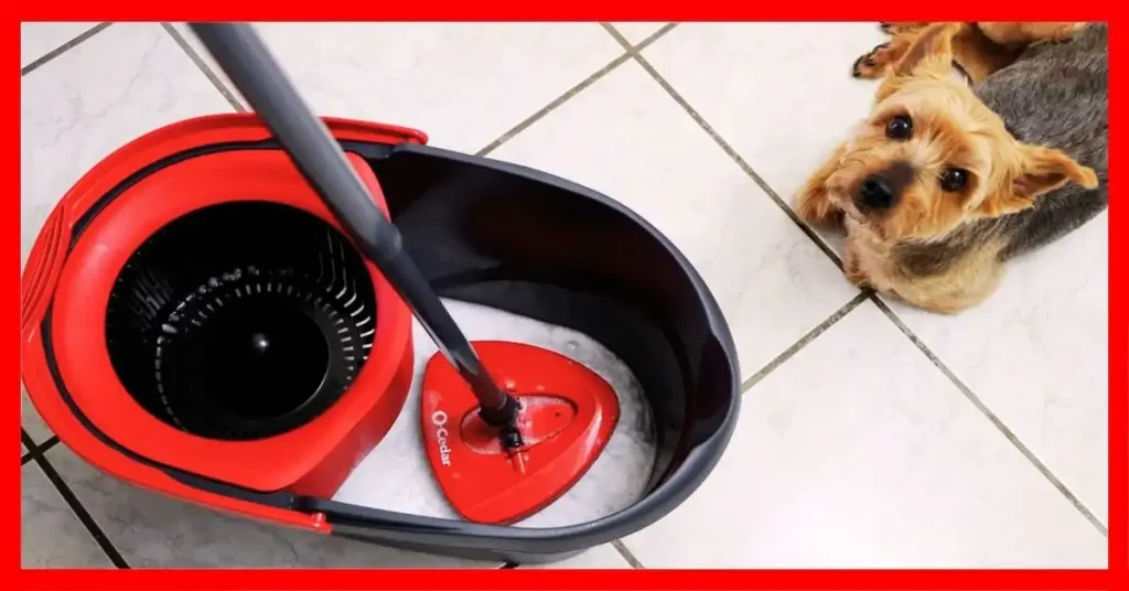 Best Cleaning Mop for Laminate Floors