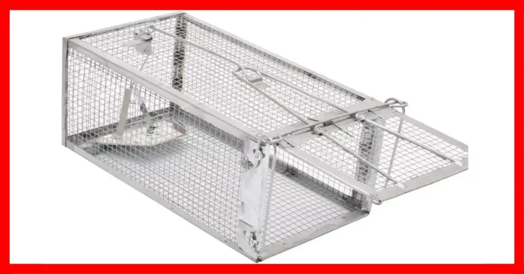 Best Rat Trap for Smart Rats