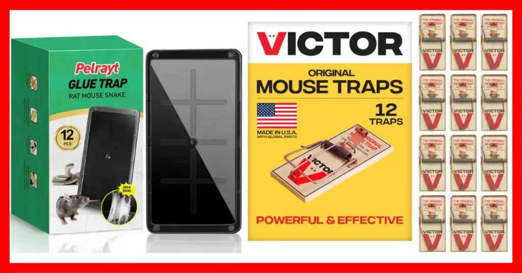 Best Rat Trap for Smart Rats