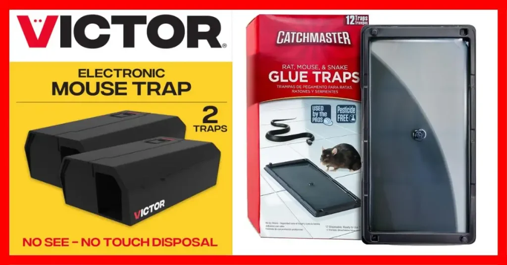 Best Rat Traps to Buy