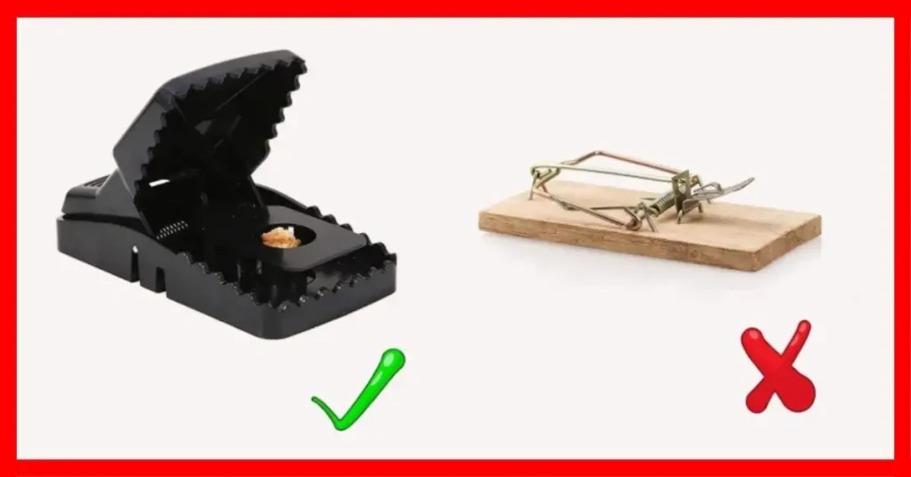 How Do I Get Rid of Rats Permanently