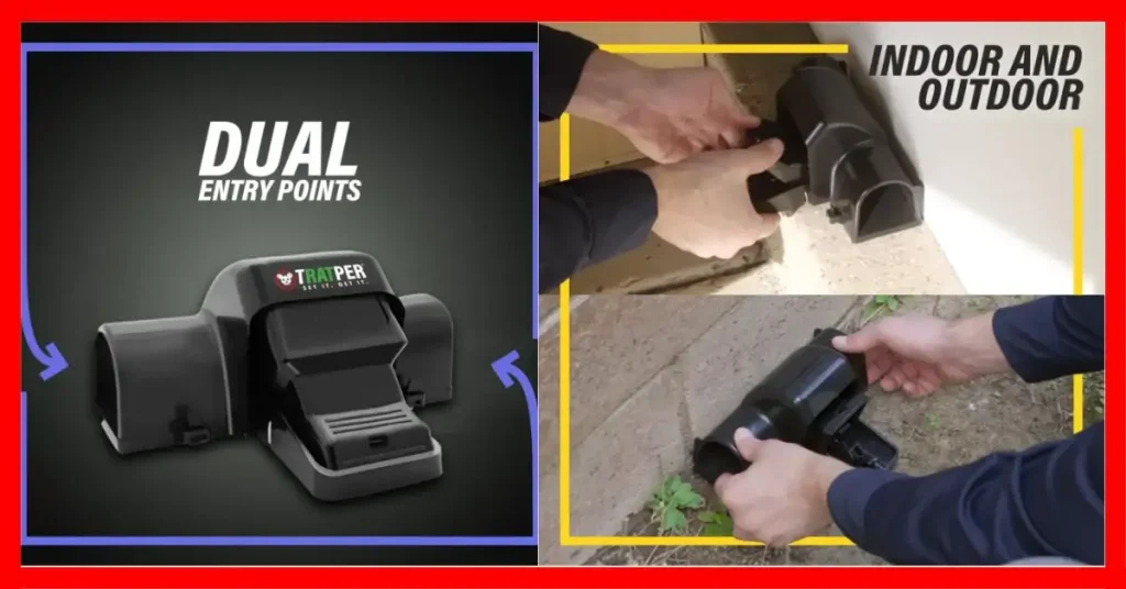 How Do I Get Rid of Rats Permanently