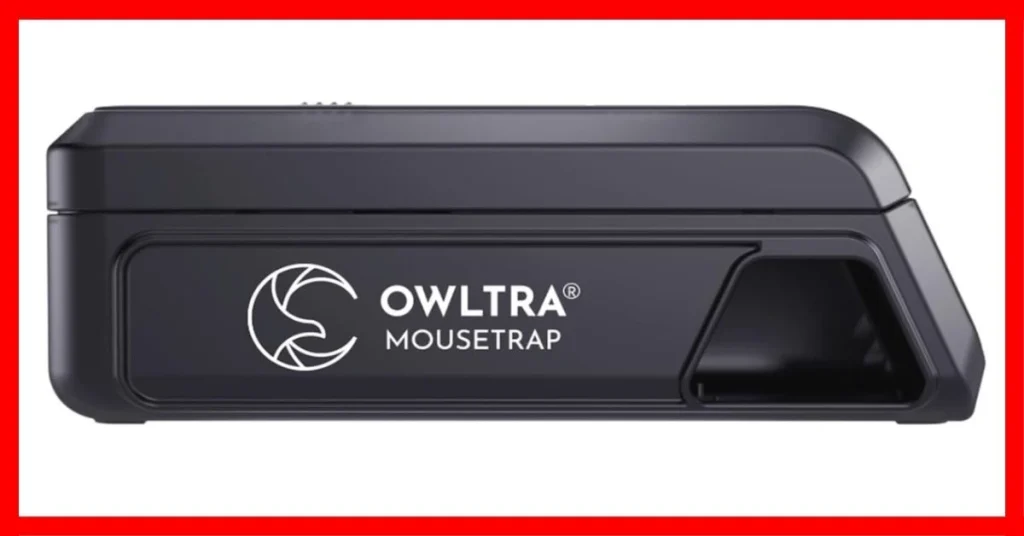 What Is the Best Rat Trap for Large Rats