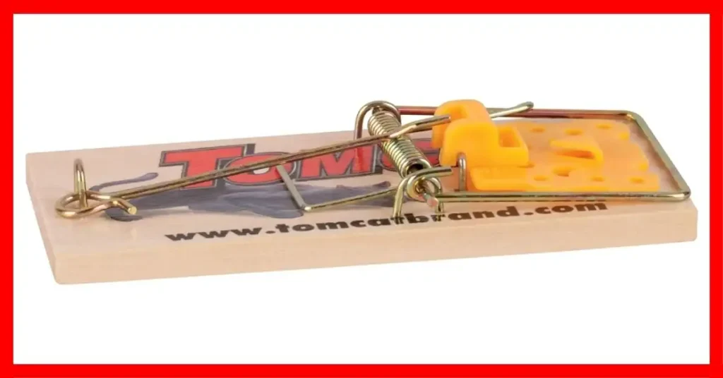 Which Rat Trap Is Most Effective