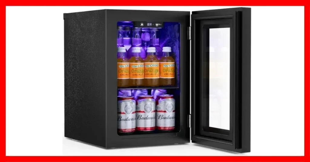 What Is The Best Mini Refrigerator