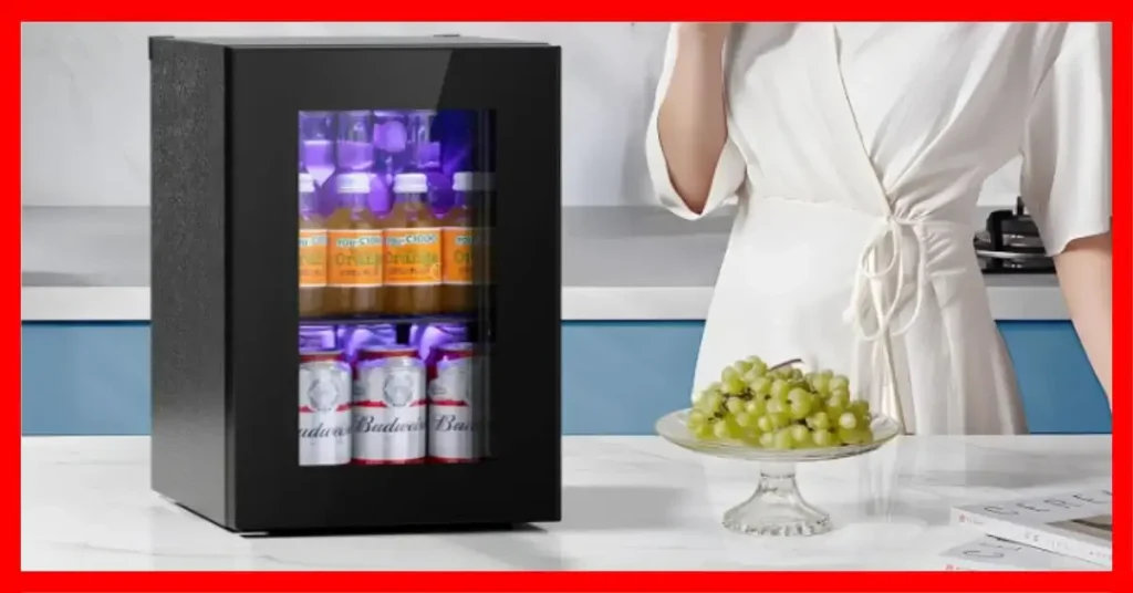 What Is The Best Mini Refrigerator