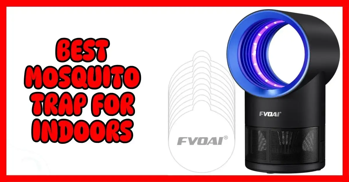 Best Mosquito Trap for Indoors