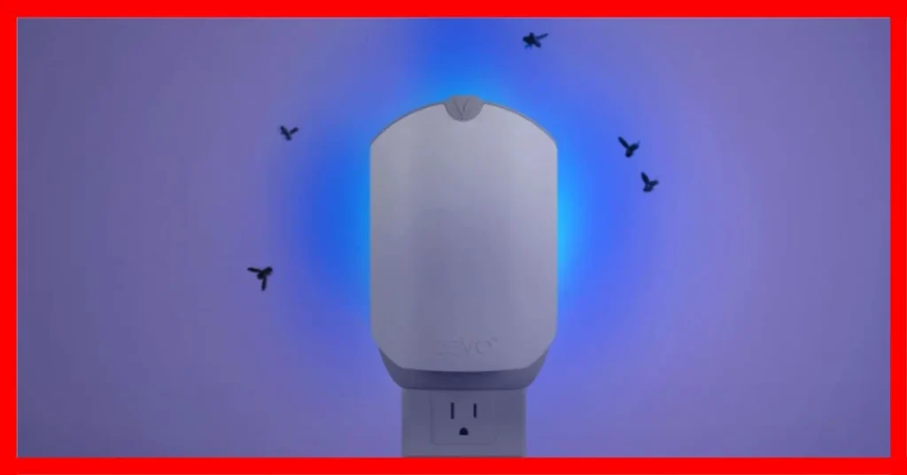 Best Mosquito Trap for Indoors