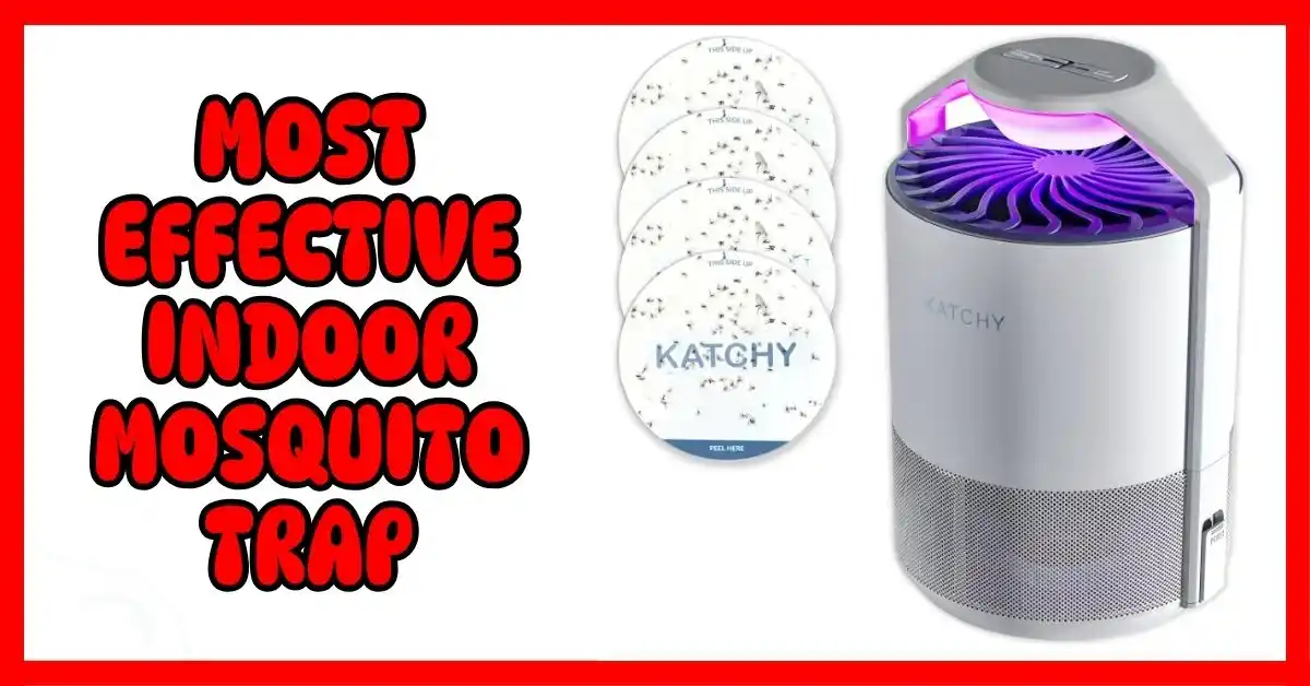 Most Effective Indoor Mosquito Trap