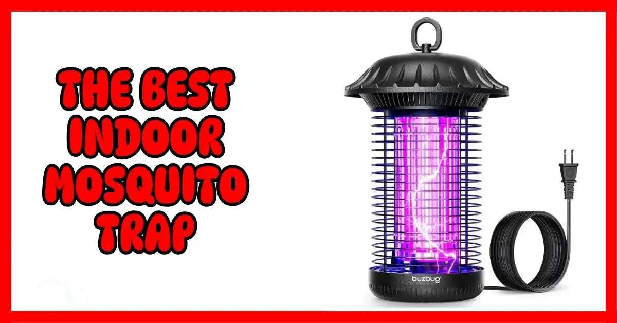 The Best Indoor Mosquito Trap