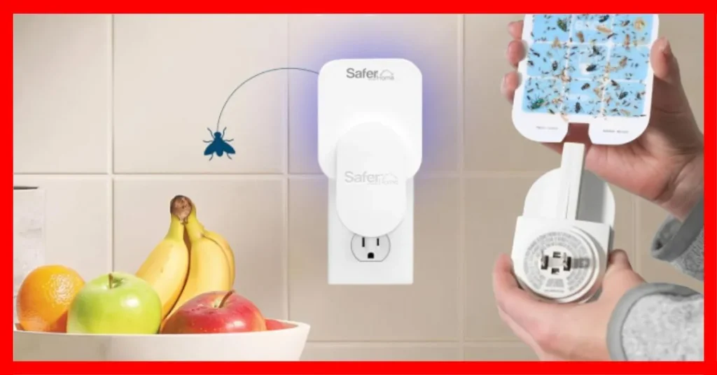 The Best Indoor Mosquito Trap