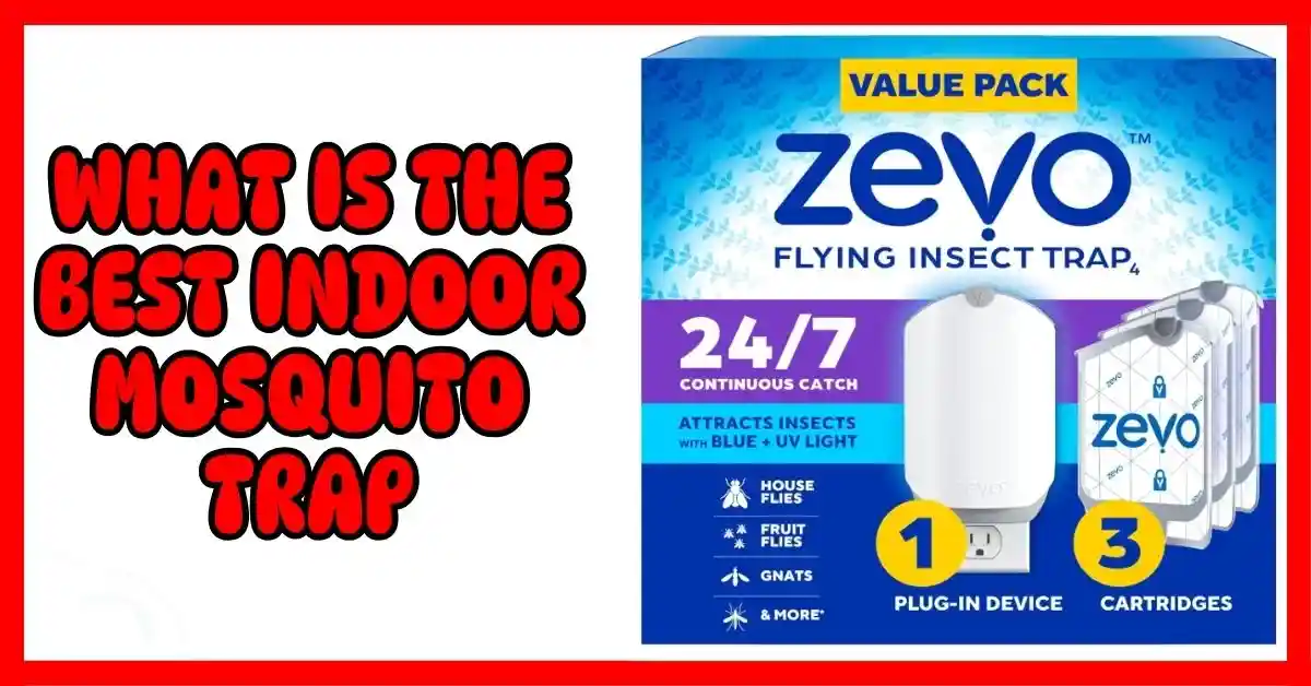 What is The Best Indoor Mosquito Trap