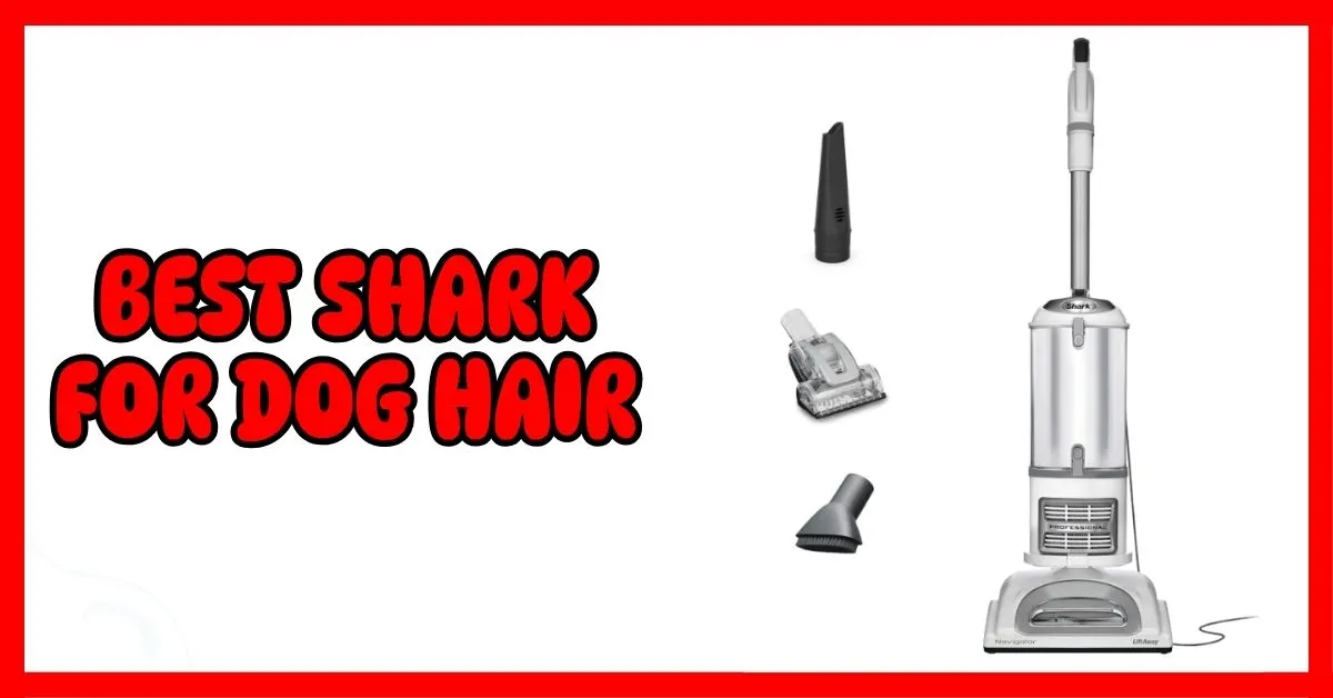 Best Shark For Dog Hair