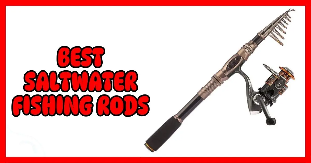 What Are The Best Saltwater Fishing Rods