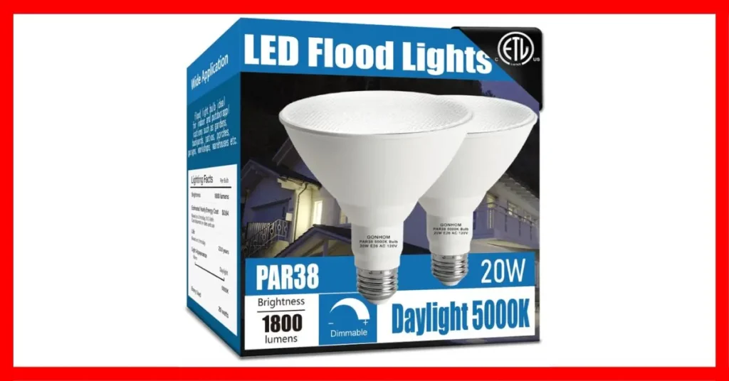 Best LED Flood Light