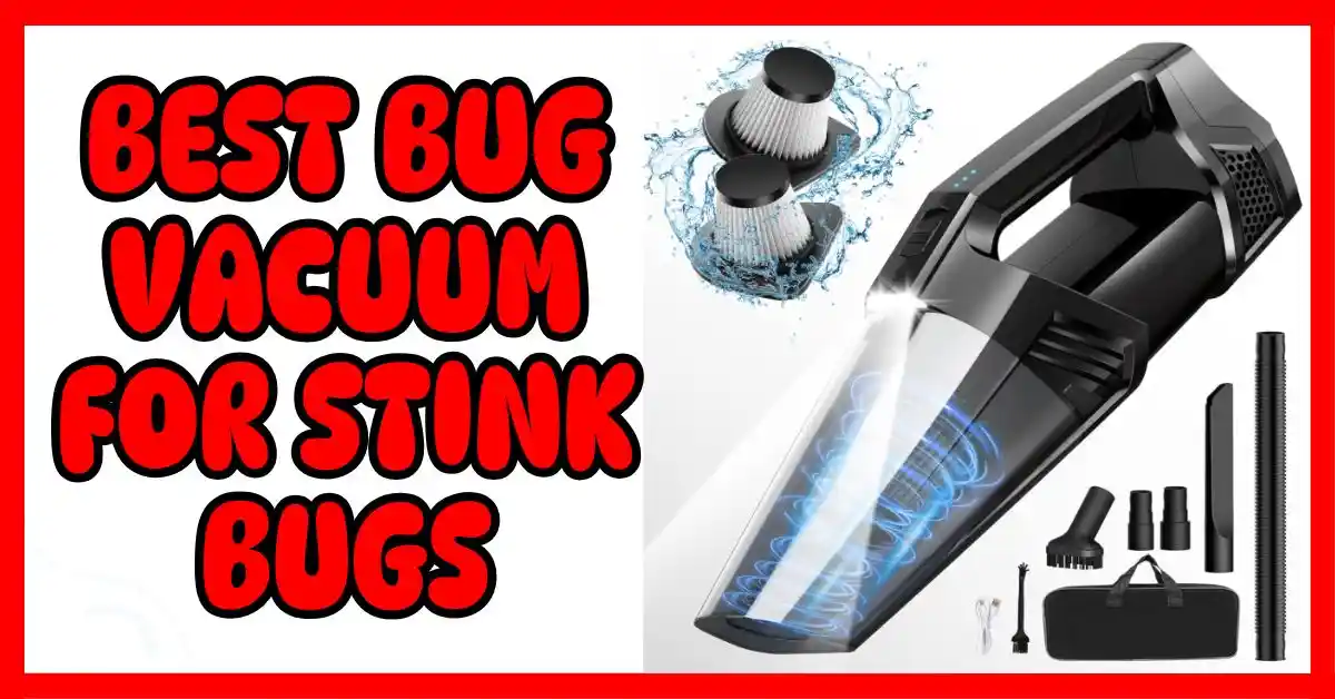 Best Bug Vacuum for Stink Bugs