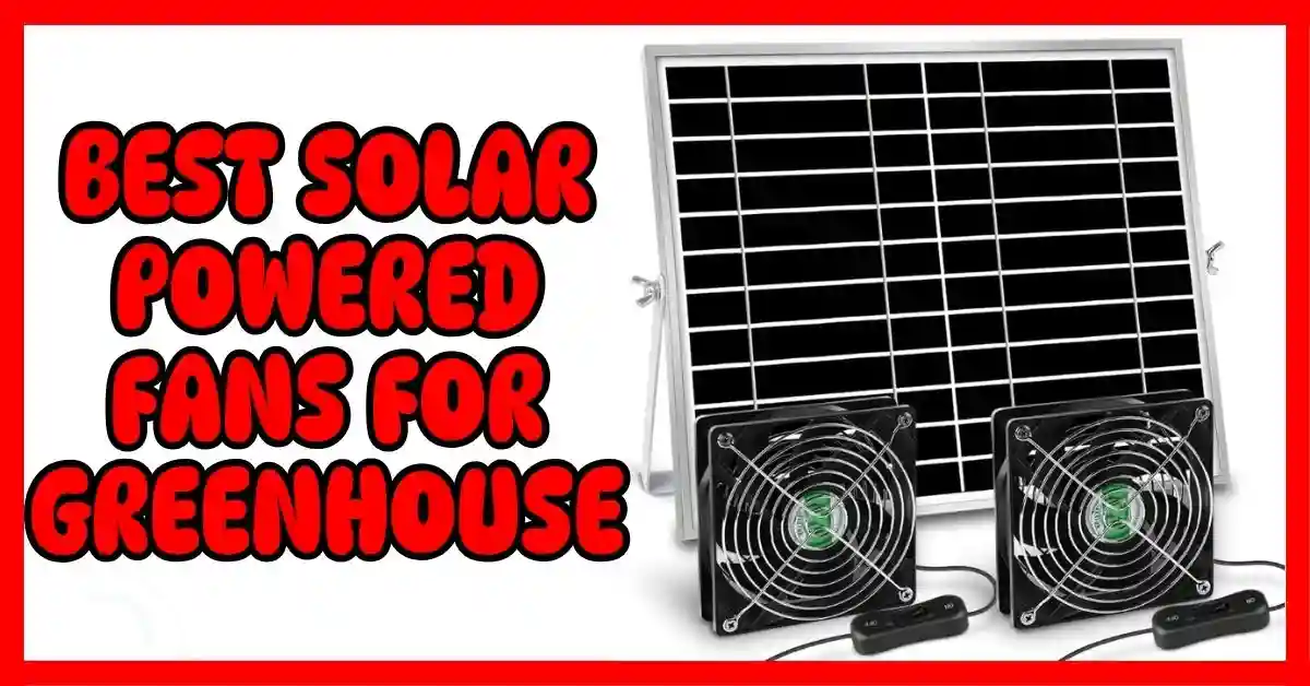 Best Solar Powered Fans For Greenhouse