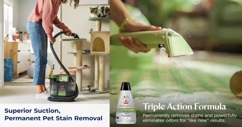Bissell Little Green Vs Max Pet