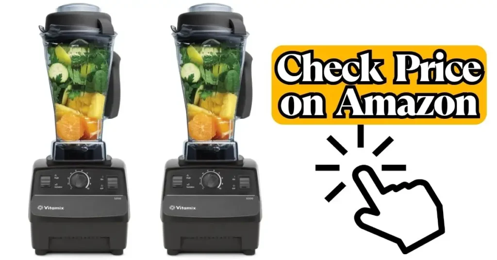 Vitamix 5200 vs E310
