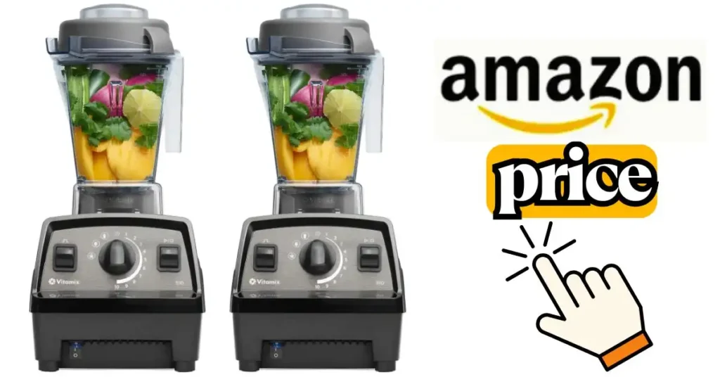 Vitamix 510 vs E310