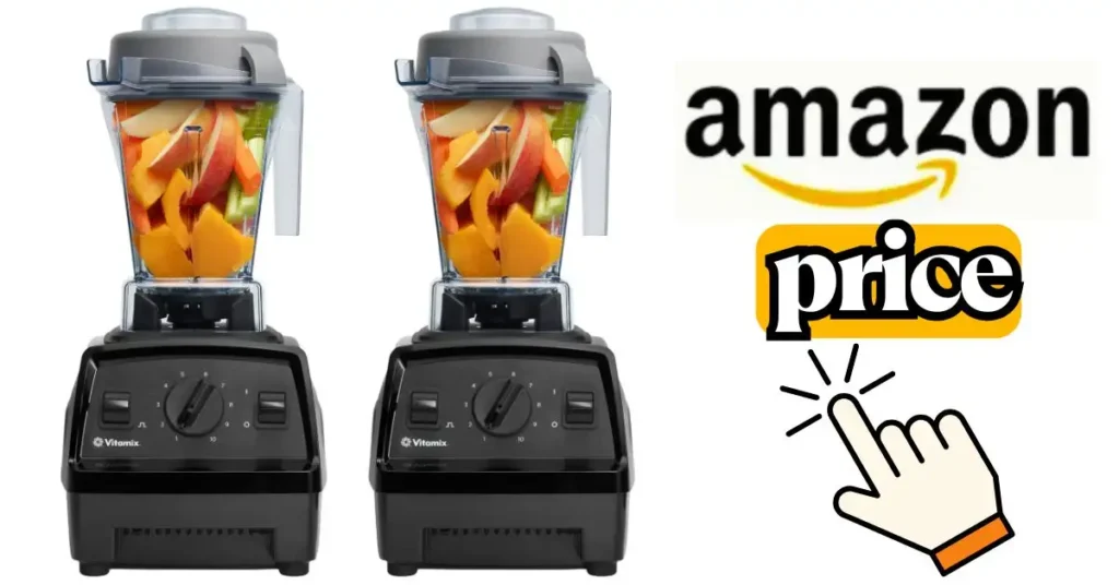 Vitamix 510 vs E310