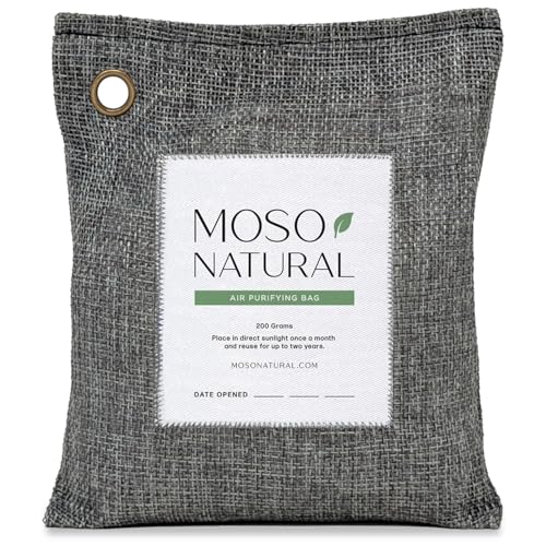 Best Car Odor Eliminators